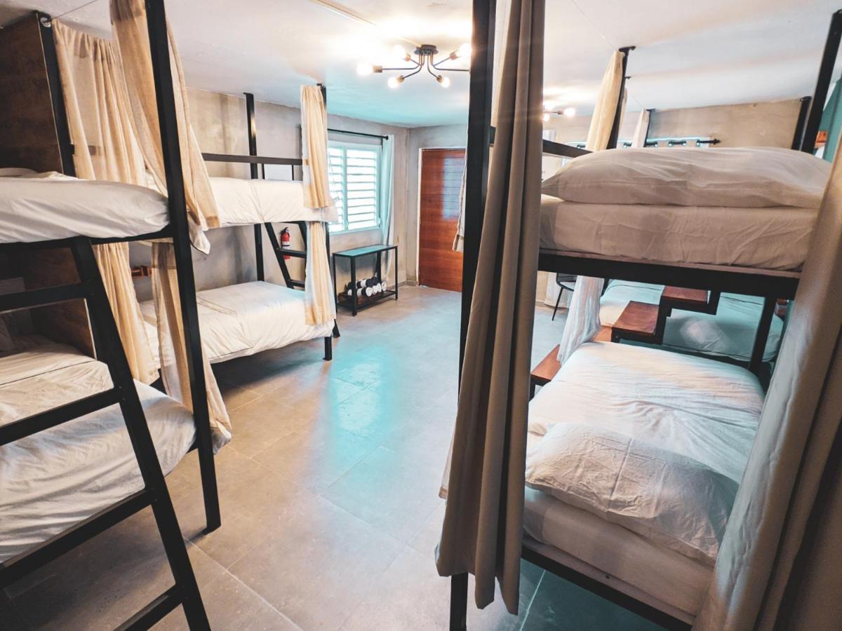The Surfing Turtle Hotel Luquillo Ngoại thất bức ảnh